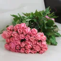 35 розовых роз Анна Карина 40 см