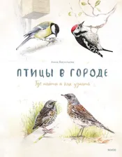 Васильева Анна. Птицы в городе. Где найти и как узнать