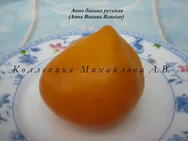 Анна Банана Русская